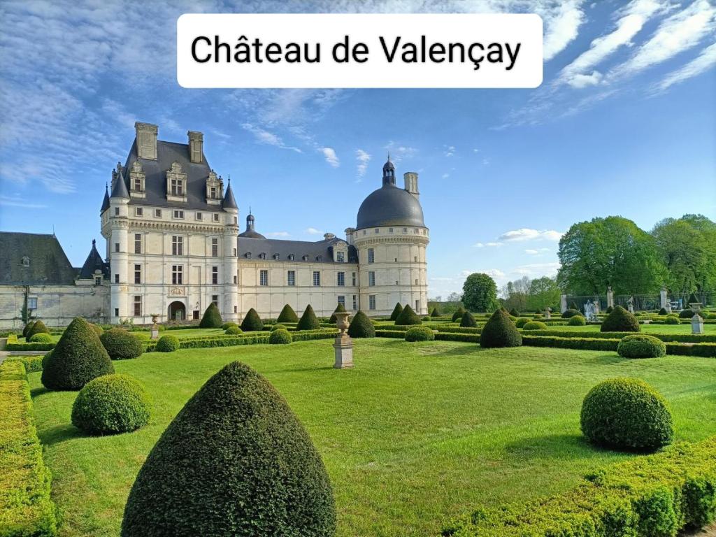 Vonkajšia záhrada v ubytovaní VILLA ESPERANZA Chambre de plain-pied, indépendante, proche Zoo de Beauval et Châteaux de La Loire