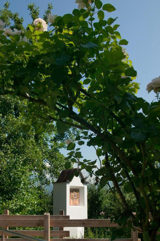 Zahrada ubytování Pension Angergut
