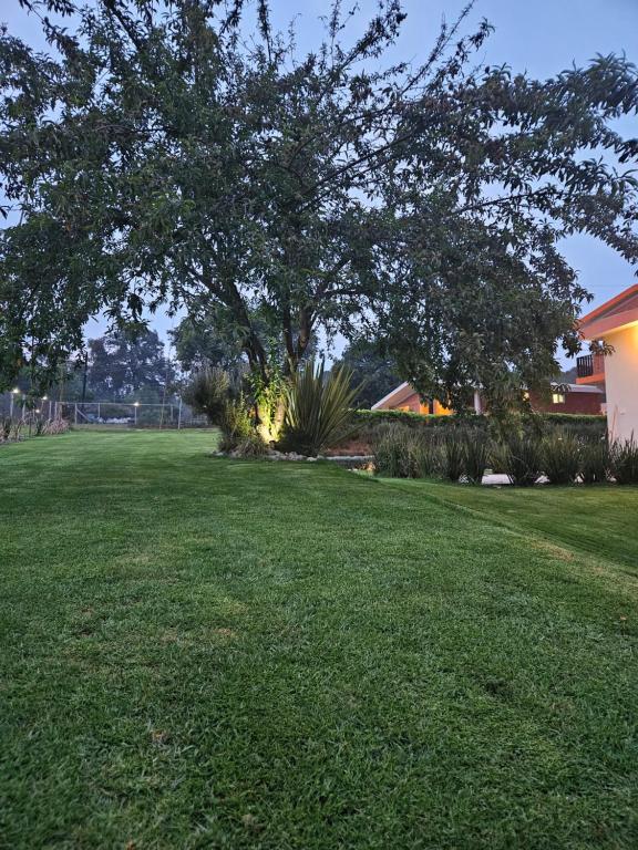 a large lawn with a tree in a yard at Cabañas Gardenias 2 in Zacatlán