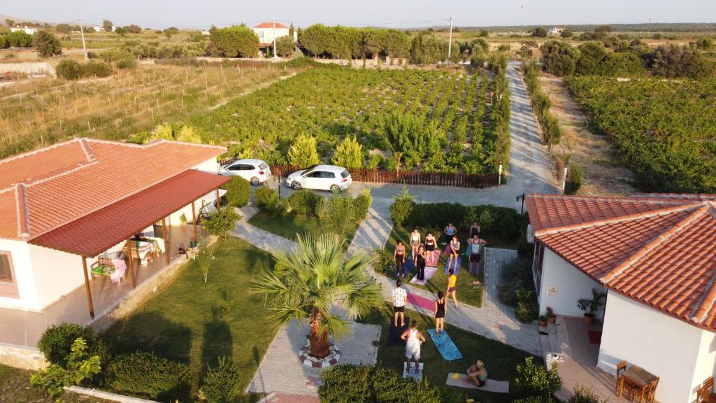 una vista aerea di una villa con un gruppo di persone in piedi in un cortile di Karina Vineyard House a Bozcaada