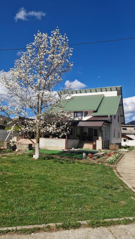 uma árvore em frente a uma casa com um edifício em Voro Mold em Gura Humorului