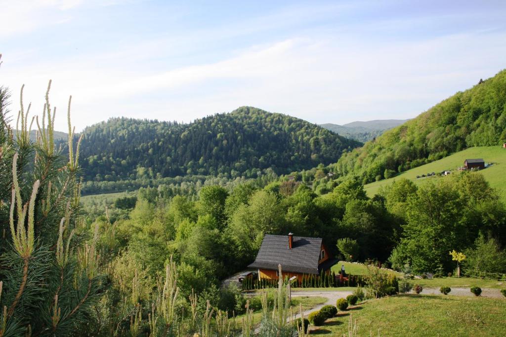Przyroda w pobliżu tego domu w stylu alpejskim