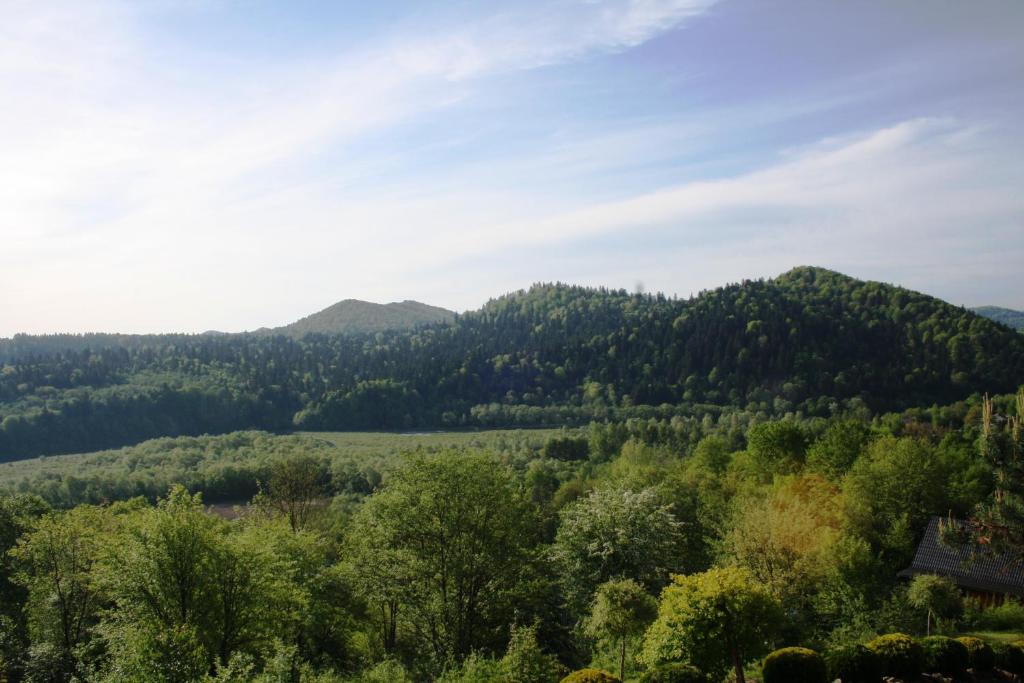 Przyroda w pobliżu tego domu w stylu alpejskim