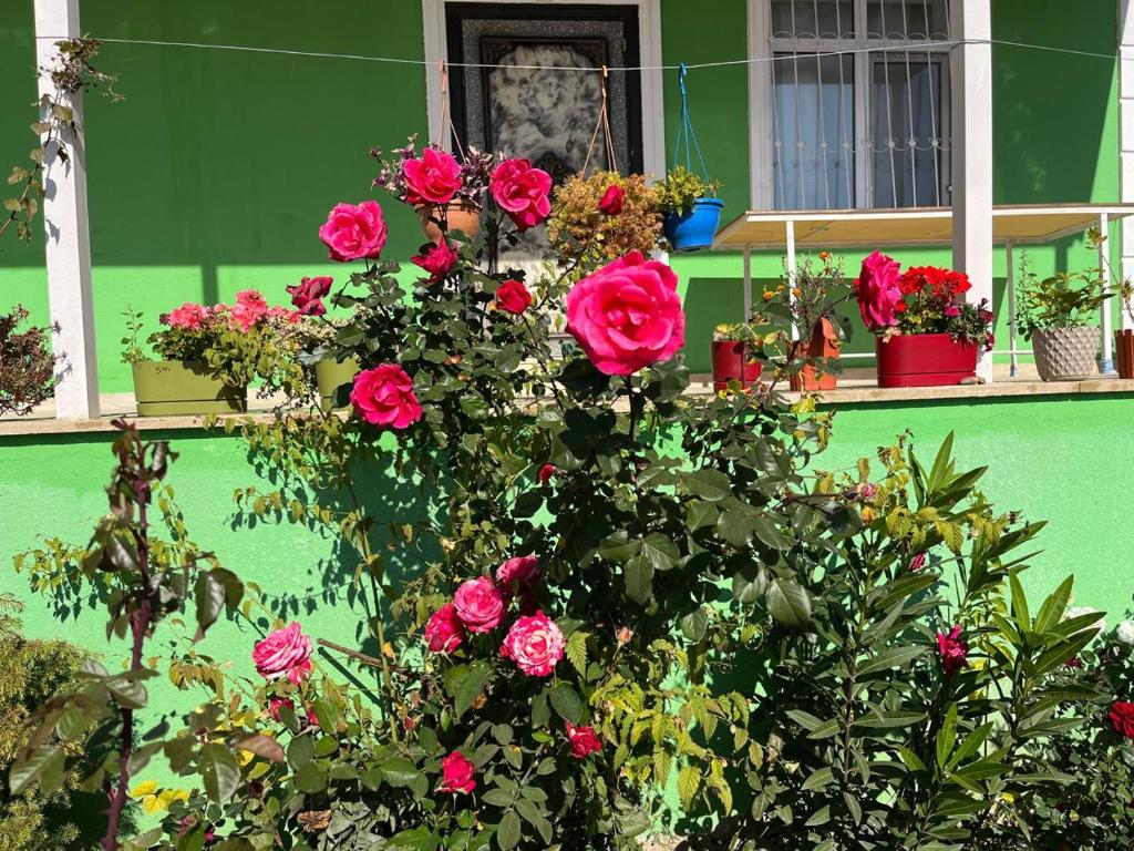 Fotografie z fotogalerie ubytování VILLA MEYSARY v destinaci Šamachi