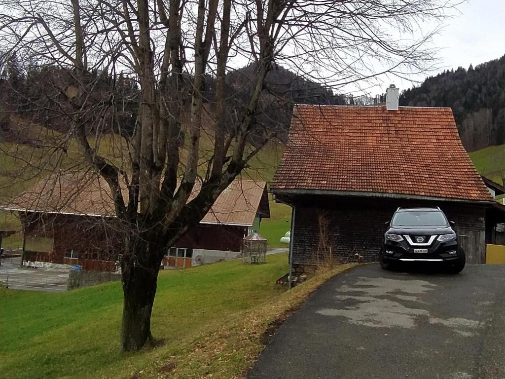 Příroda nedaleko ubytování v soukromí