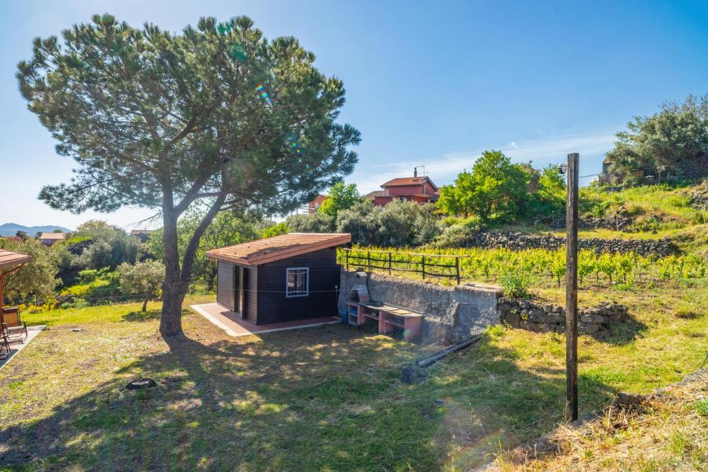 Vonkajšia záhrada v ubytovaní Tuccios villa