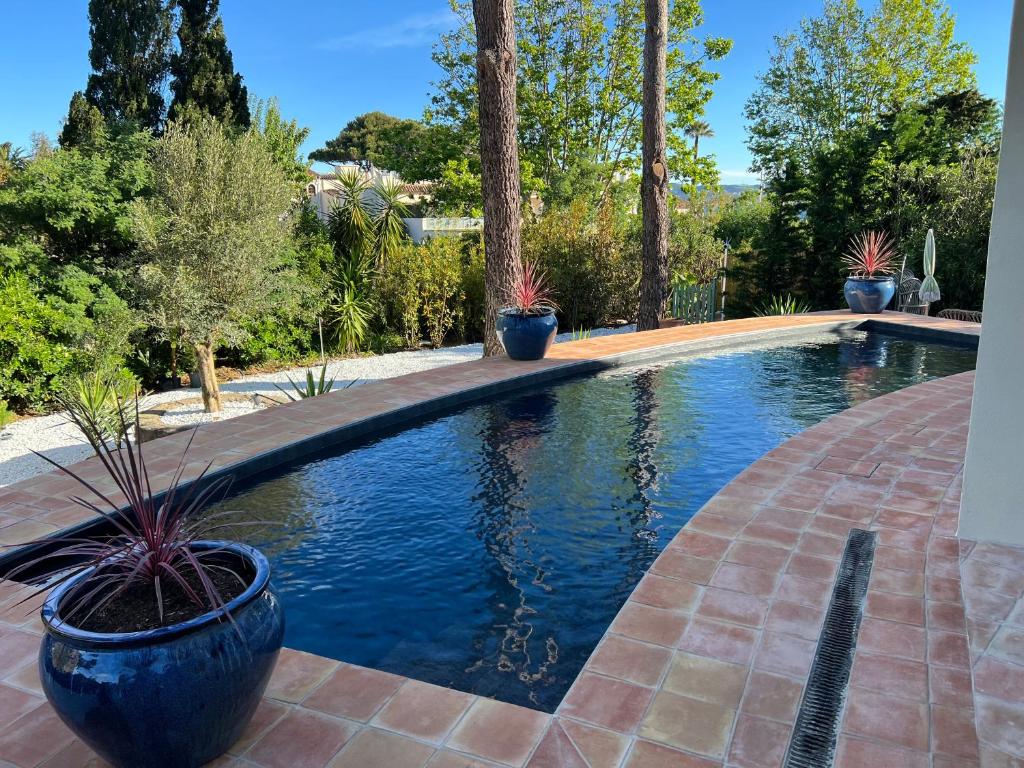 a swimming pool with potted plants in a yard at Maison d'Orange - La Pinede in Saint-Tropez