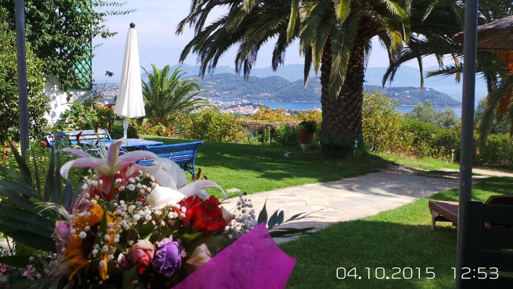 Skiathos Studios Panorama - 14