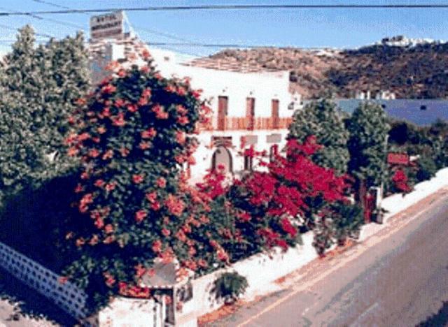 une rue avec des arbres et un bâtiment avec des fleurs rouges dans l'établissement Villa Zacharo, à Skala