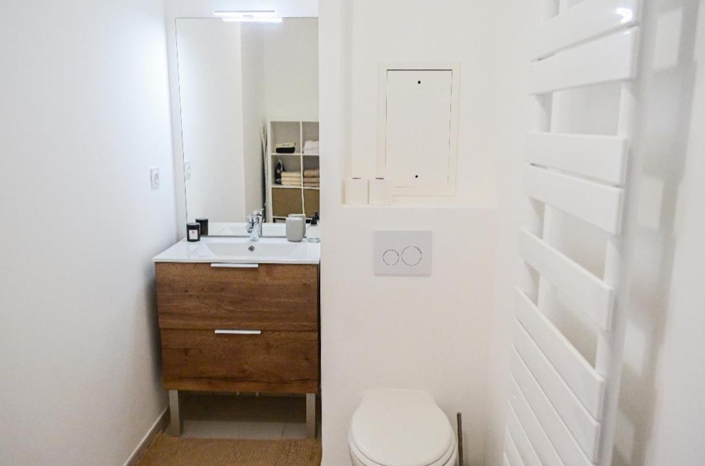 een badkamer met een wastafel, een toilet en een spiegel bij Appart charmant au cœur de la ville et des commodités in Saint-Ouen