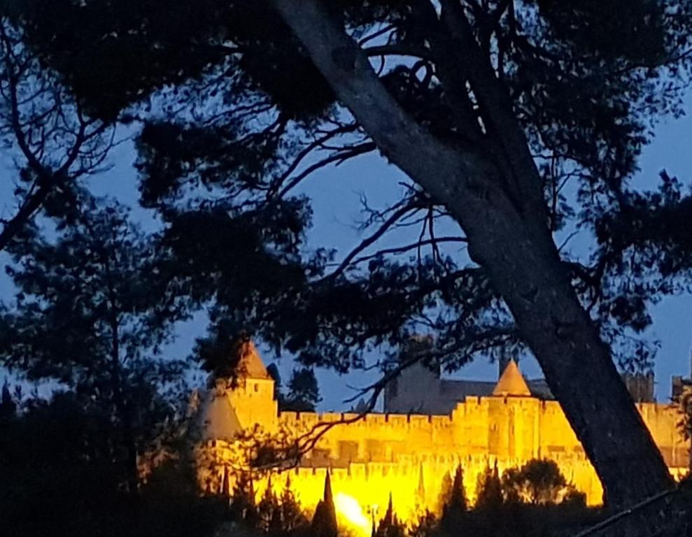 un château illuminé la nuit par des arbres dans l'établissement Villa st Francois Piscine privée chauffée ,clim ,parking gratuit, à Carcassonne