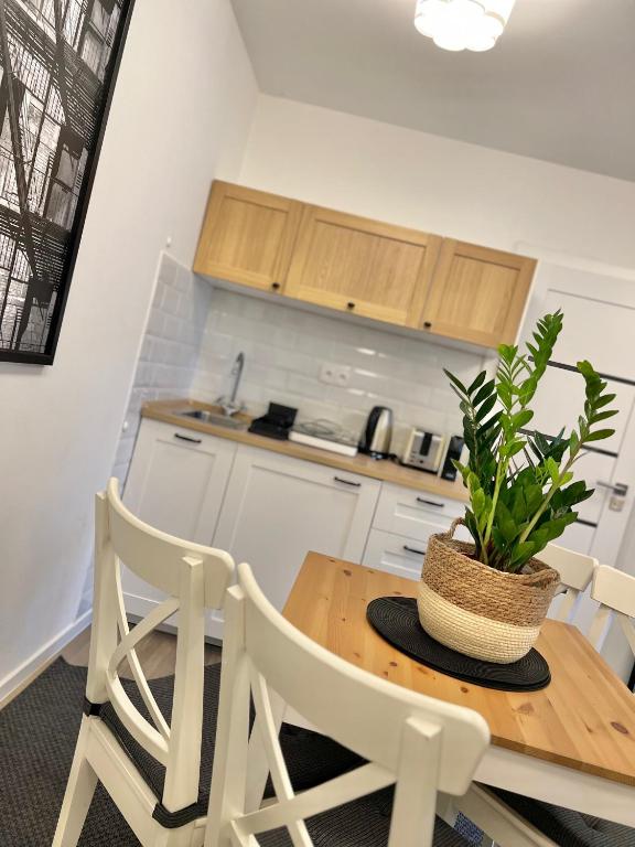 Kuchyň nebo kuchyňský kout v ubytování Apartmány Benešov