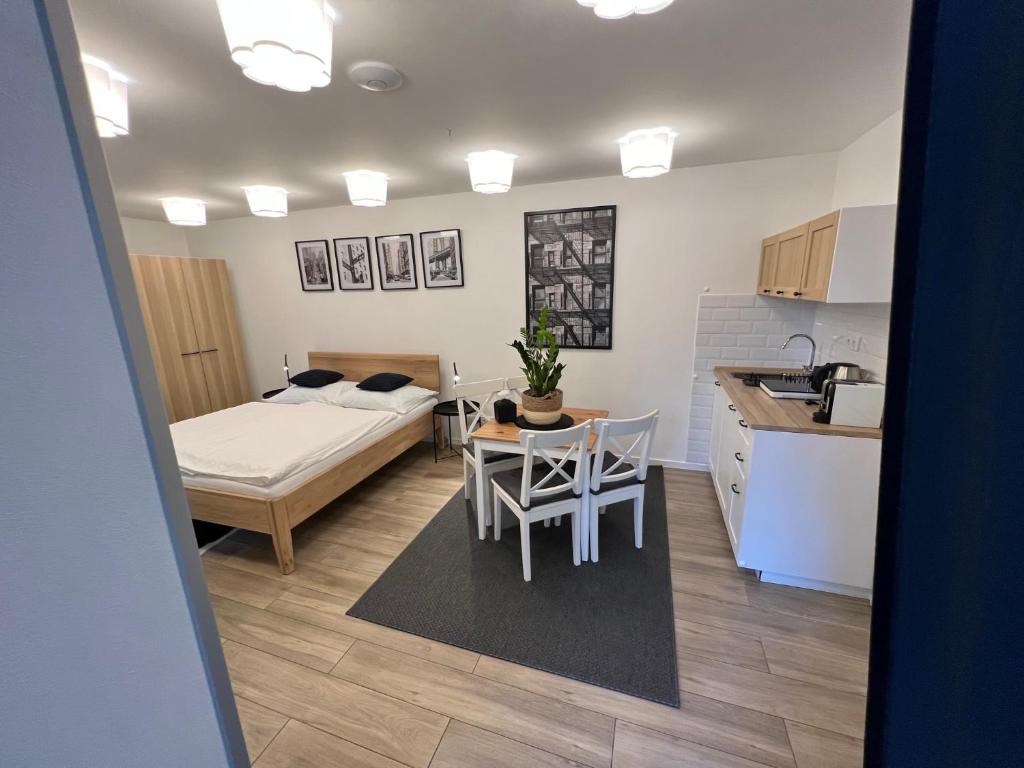Kuchyň nebo kuchyňský kout v ubytování Apartmány Benešov