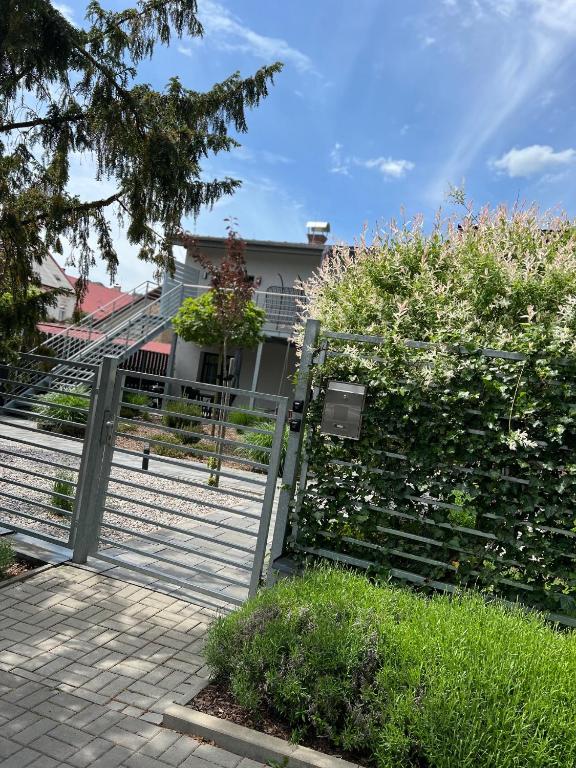 Zahrada ubytování Apartmány Benešov