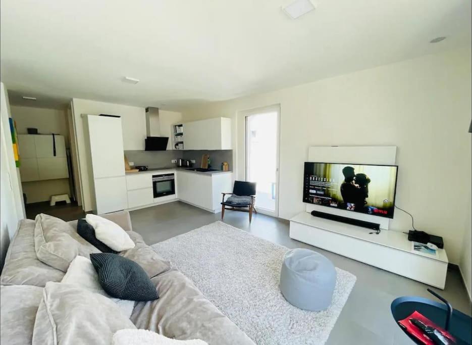 uma sala de estar com um sofá e uma televisão de ecrã plano em Brand New Luxury Studio in Belair with balcony em Luxemburgo