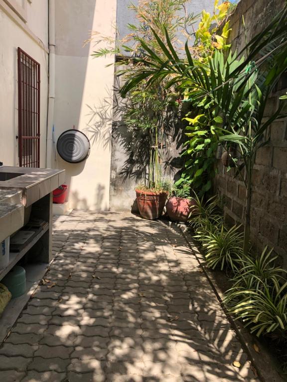 un passaggio in pietra con piante sul lato di un edificio di Quiet Garden Home a Molino