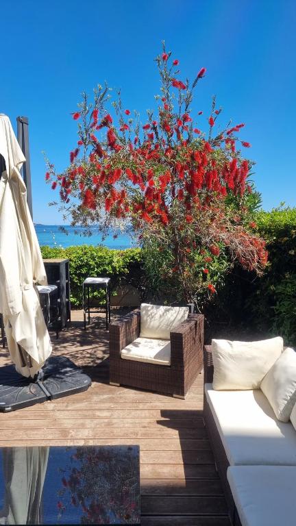 un arbre avec des fleurs rouges assis à côté d'une table dans l'établissement Unique Appartement-villa, Palm Beach - Croisette - Front de mer, à Cannes
