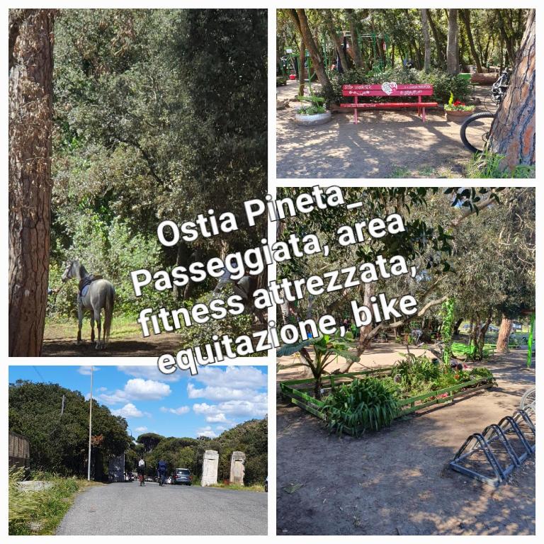 Zdjęcie z galerii obiektu Casa Diana Ostia w mieście Lido di Ostia