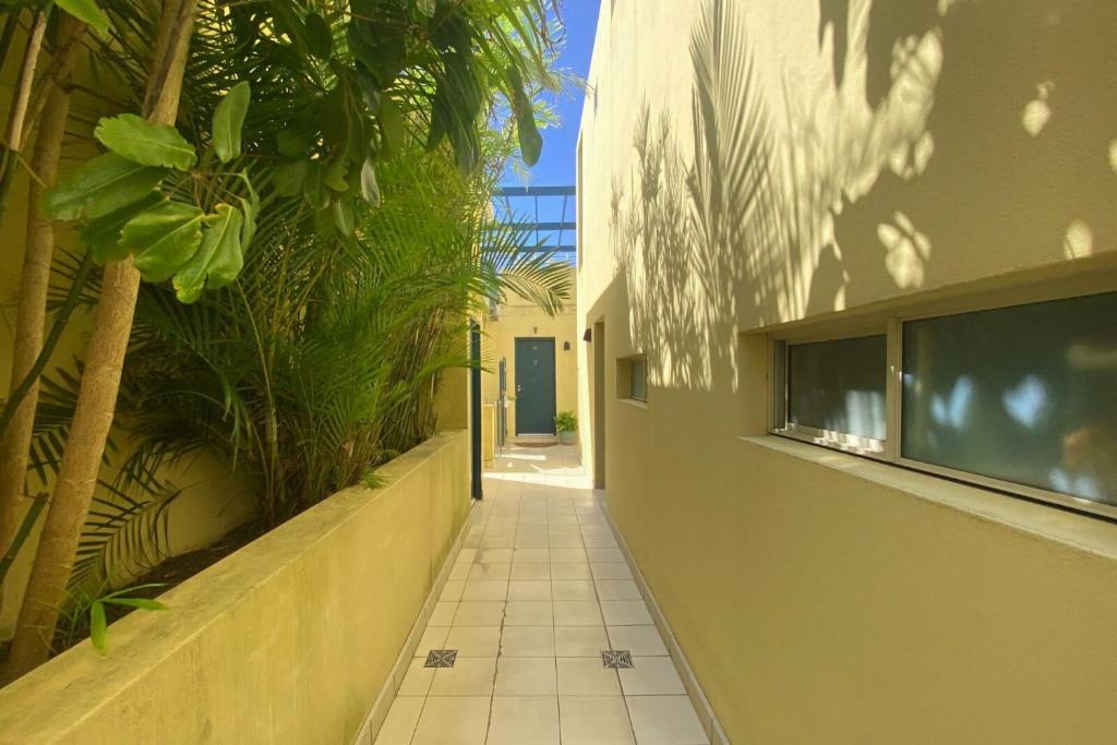 a hallway of a building with palm trees and a blue door at Ocean view Clovelly in Sydney