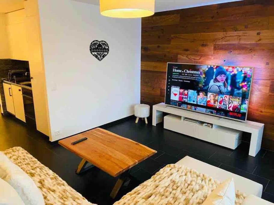 TV a/nebo společenská místnost v ubytování CLABINA - Studio lumineux et calme