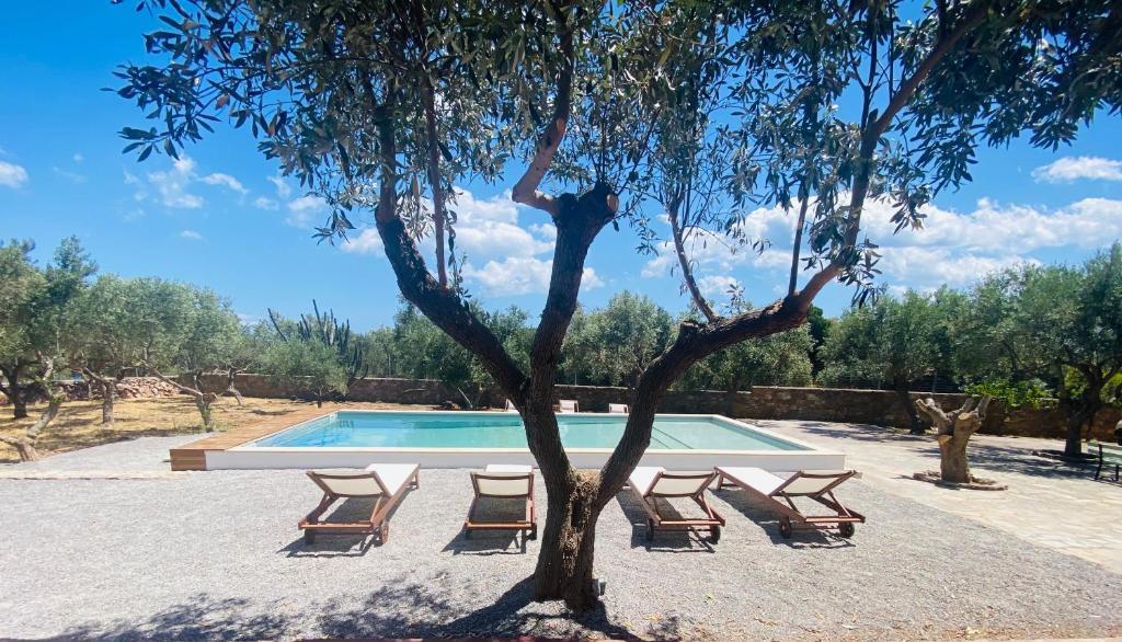 a group of lounge chairs next to a swimming pool at Seaview and Olives Panorama Villa Joyanna in Mani in Kalívia
