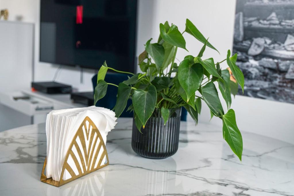 un vase avec une plante assise sur une table dans l'établissement Sympathique Studio près de Paris et de Disneyland, à Neuilly-sur-Marne