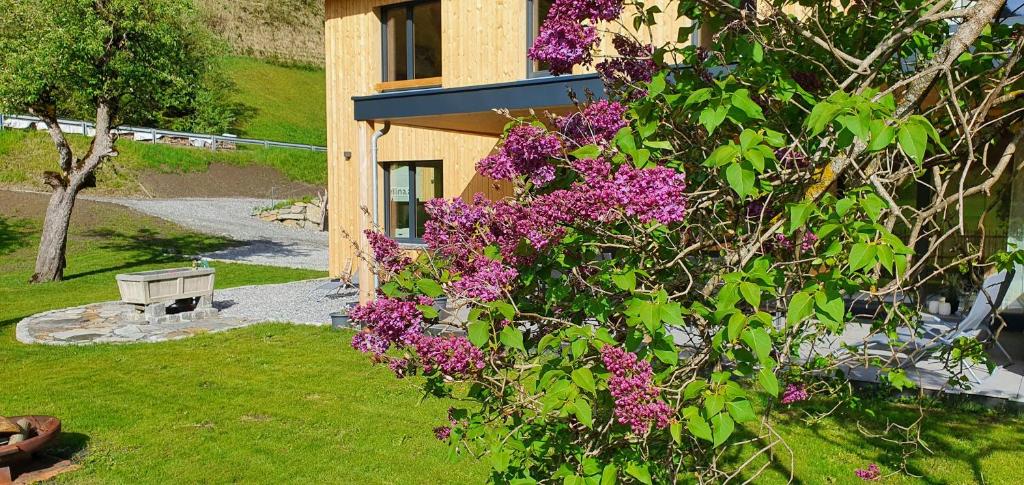 Zahrada ubytování Haus Valtellina