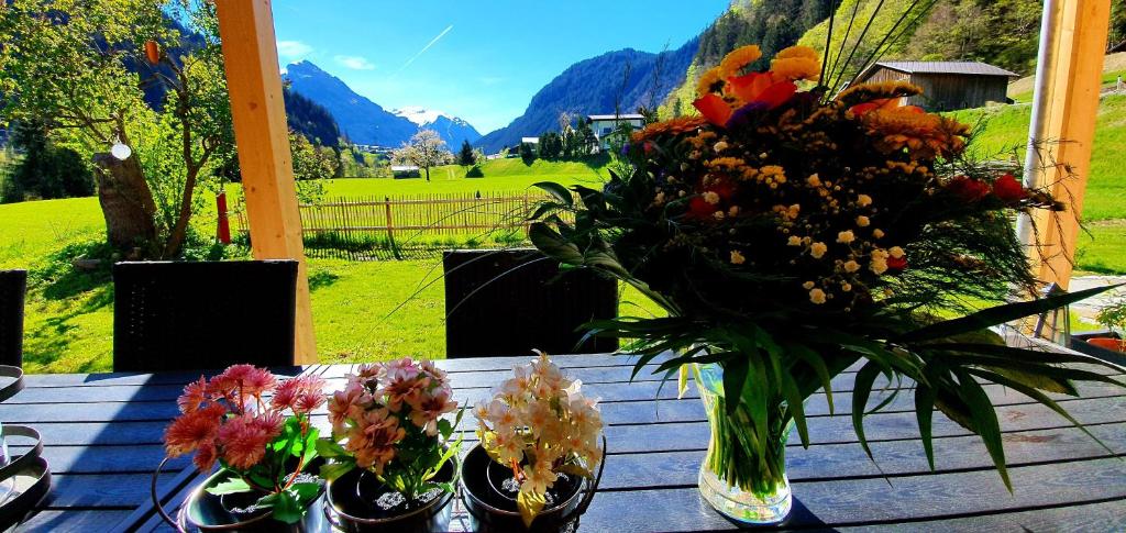 Zahrada ubytování Haus Valtellina