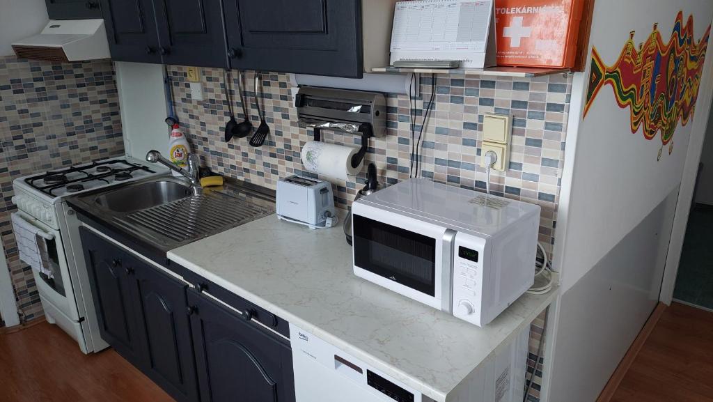 Kuchyň nebo kuchyňský kout v ubytování Apartmán Šurany