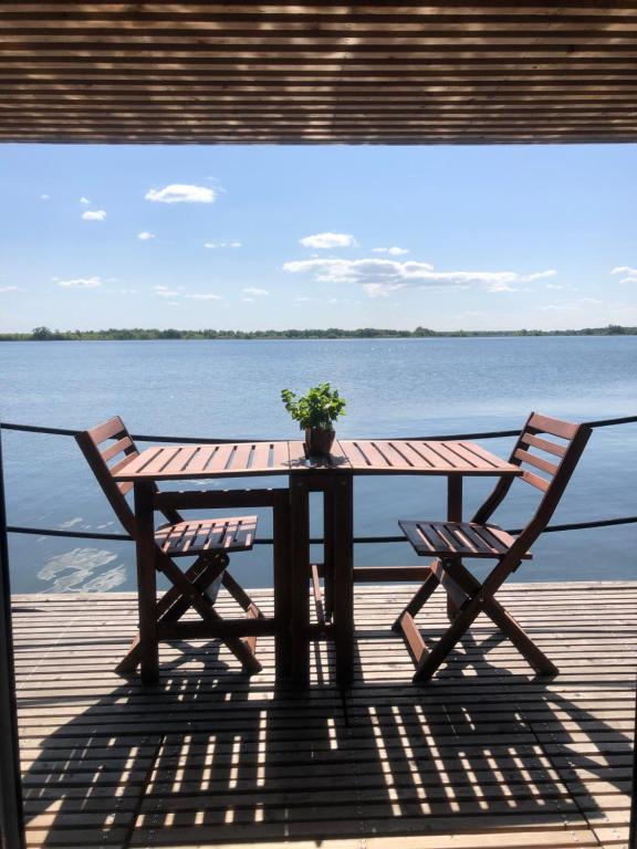 a picnic table with a potted plant sitting on a dock at Waterfront Loft in Brandenburg an der Havel