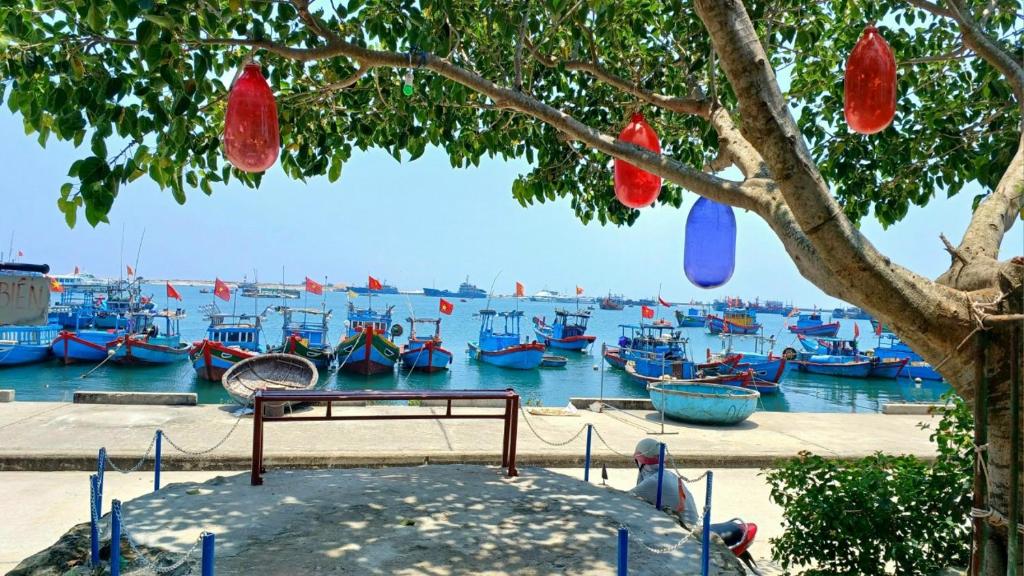 a bunch of boats are docked in a harbor at Hoa Bien Motel in Ly Son