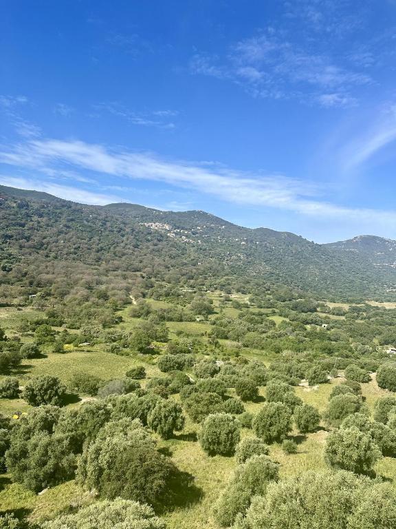 un terrain ouvert avec des arbres et des montagnes en arrière-plan dans l'établissement Superbe maison avec jacuzzi, à Aregno