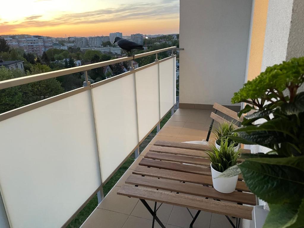 a balcony with a bench and a view of the city at Gdynia Riviera Hills in Gdynia