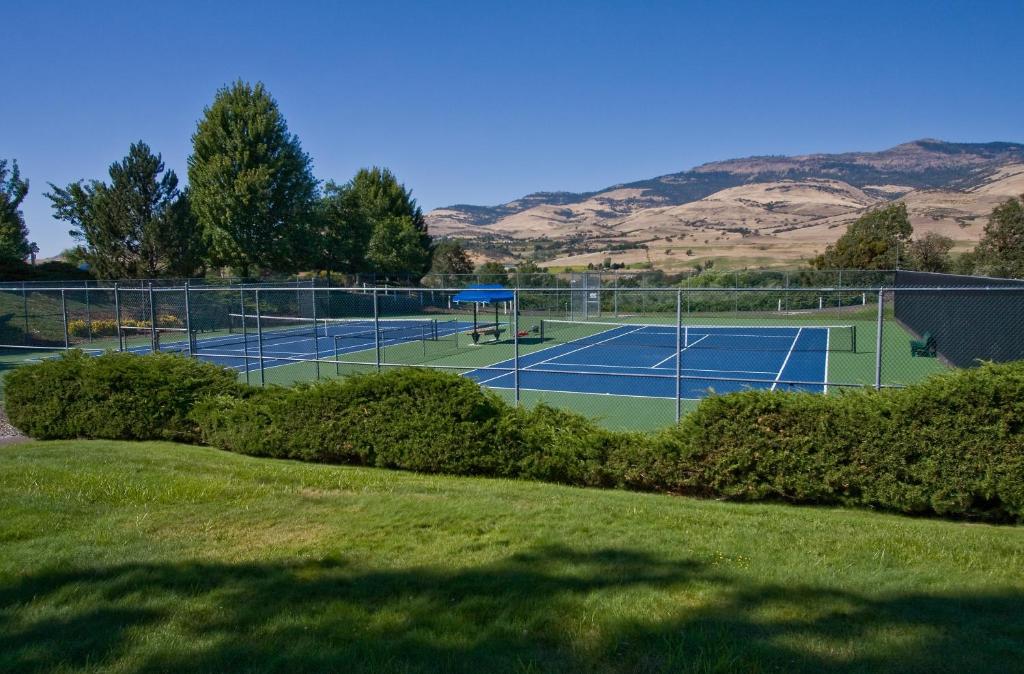 Tenis a/nebo squash v ubytování Ashland Hills Hotel & Suites nebo okolí