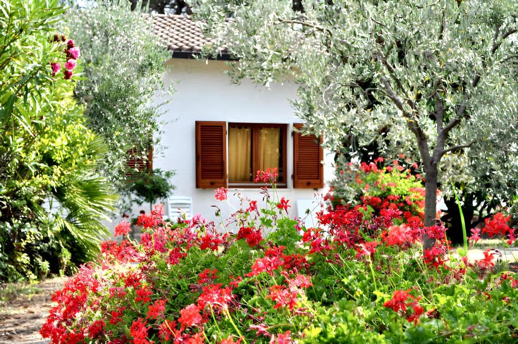 um jardim com flores vermelhas em frente a uma casa em 3 bedrooms house at Lacona 100 m away from the beach with enclosed garden em Lacona