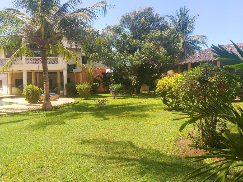 a yard with palm trees and a house at Villa Simba in Galu
