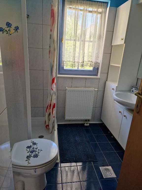 a bathroom with a toilet and a sink at Apartment Luka at Soča & Koritnica confluence in Bovec