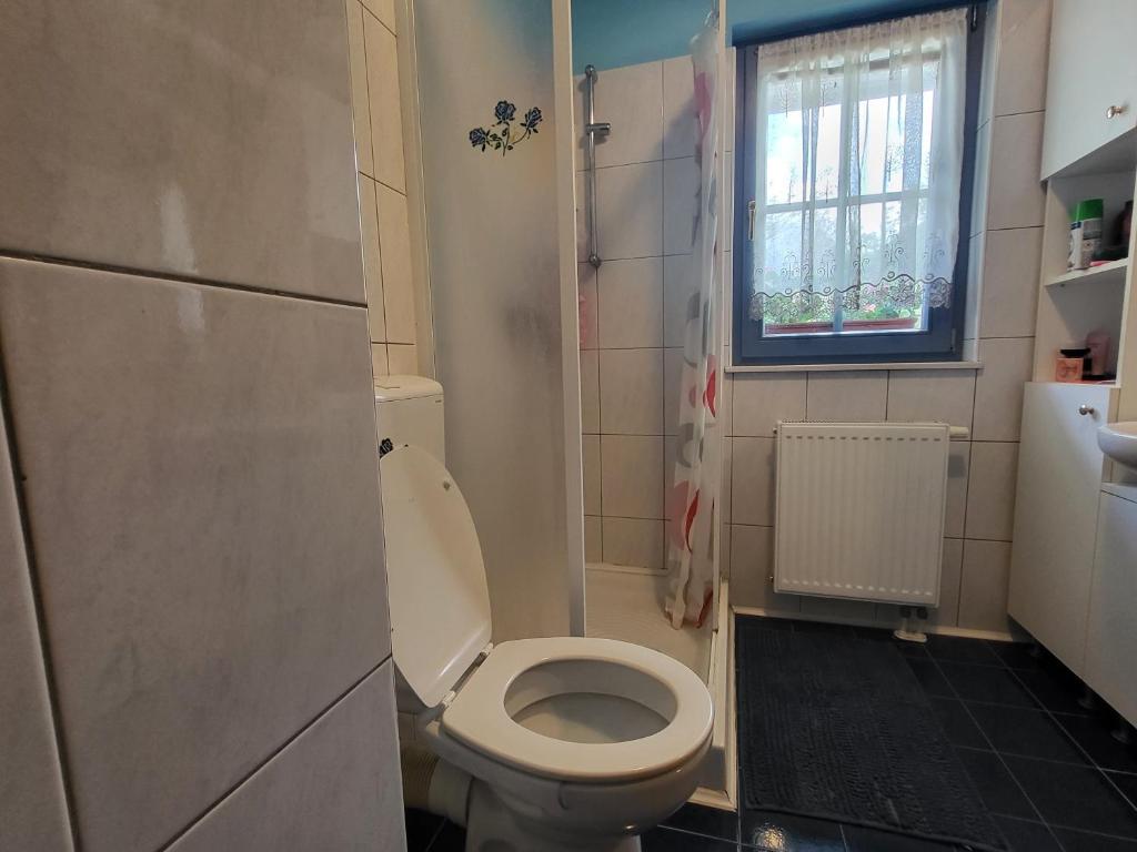 a small bathroom with a toilet and a window at Apartment Luka at Soča & Koritnica confluence in Bovec