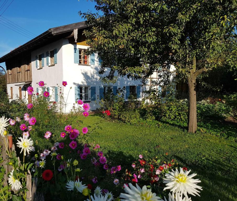 a garden of flowers in front of a house at Ferienwohnung Hofen 5 in Peiting