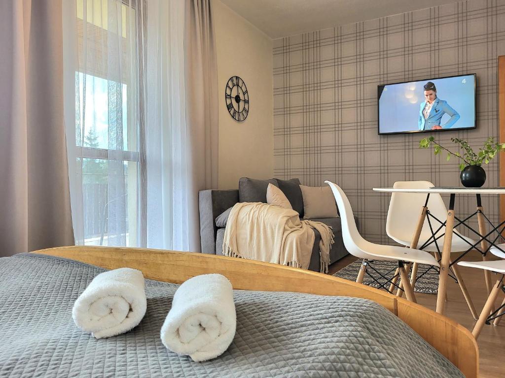 Televízia a/alebo spoločenská miestnosť v ubytovaní Apartamenty Velvet