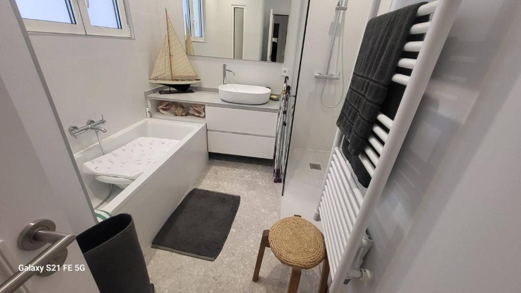 ein kleines Bad mit einem Waschbecken und einem WC in der Unterkunft Saint-Jean de Luz, bel appartement 3 pièces - 4 couchages in Sainte-Barbe