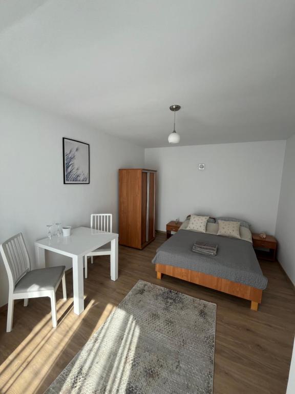 Łabędź Jastarnia - 1