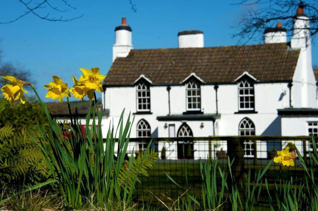 une maison blanche avec des fleurs jaunes devant elle dans l'établissement Tudor Lodge Bed & Breakfast, à Manorbier