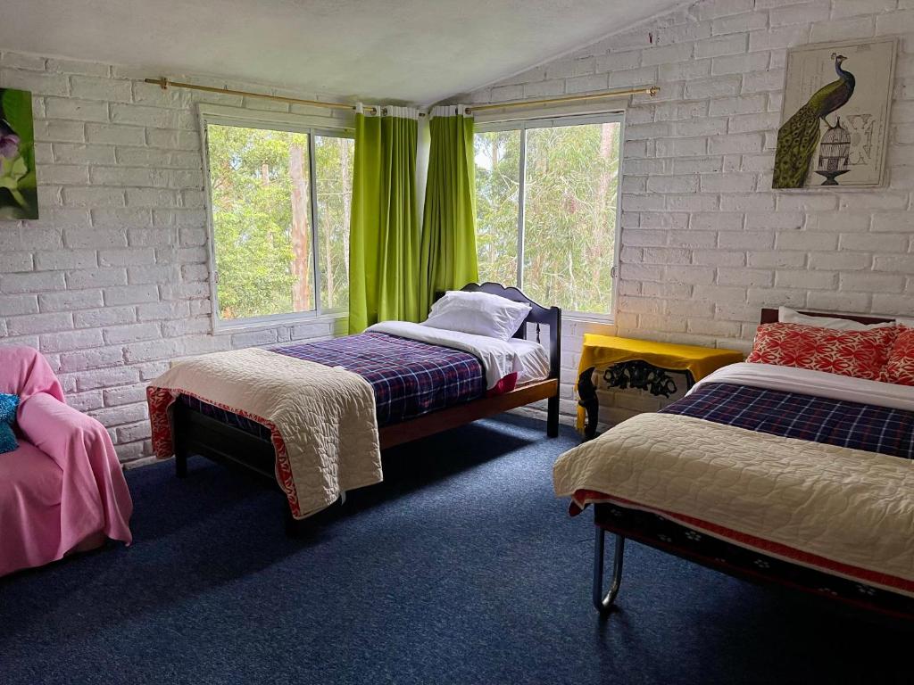 1 Schlafzimmer mit 2 Betten und grünen Vorhängen in der Unterkunft Sinestesia House in Baños