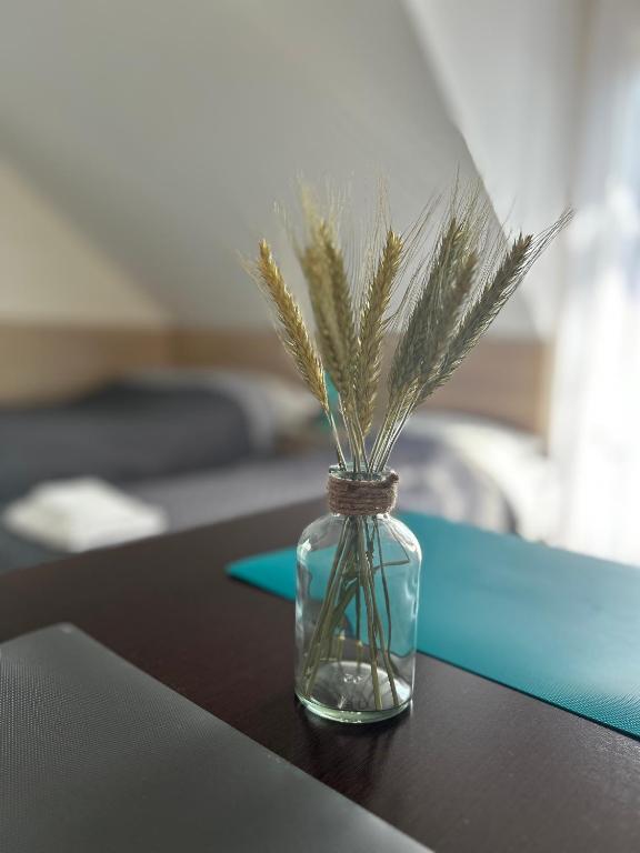 Mazurek Pokoje do wynajęcia - Drievoudige Kamer Met Balkon