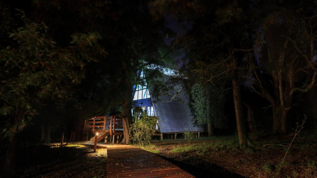 a building at night with a bench and trees at Hide Away Cabin in Knysna