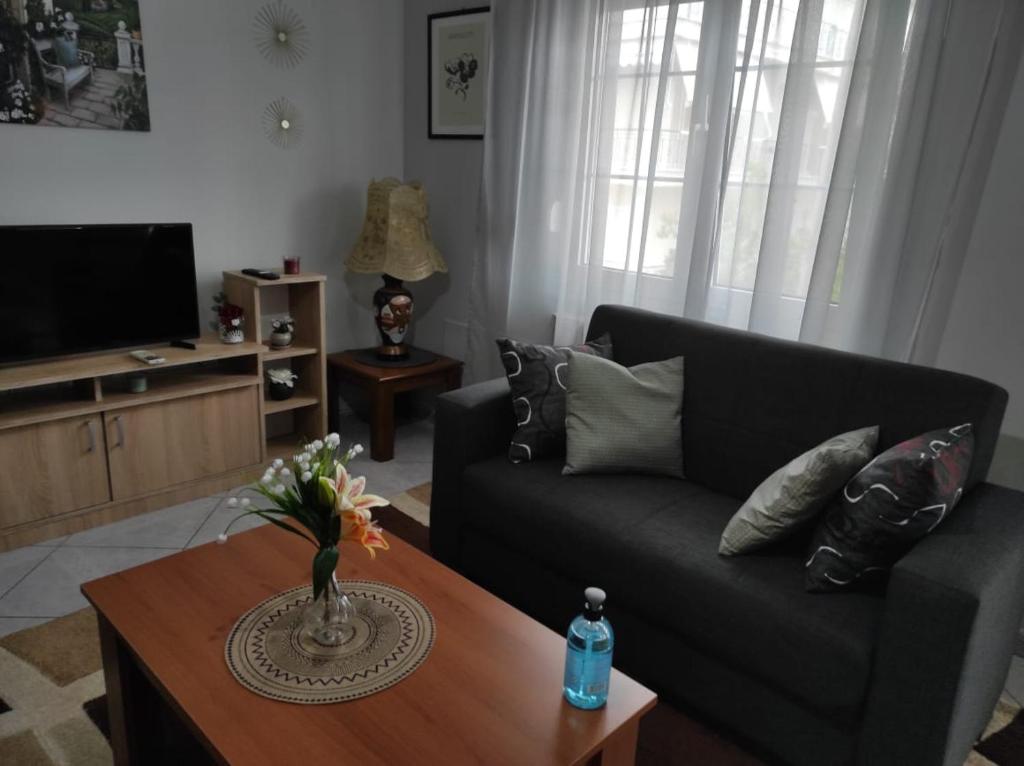 a living room with a couch and a coffee table at S.T Family Apartement in Kalabaka