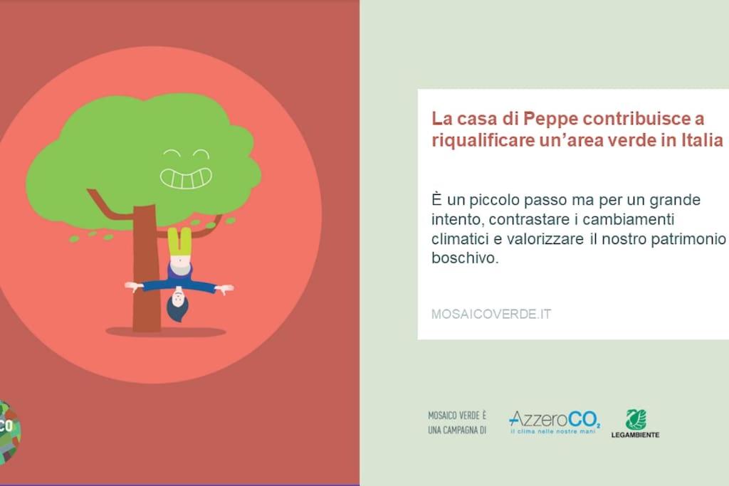 Φωτογραφία από το άλμπουμ του La casa di Peppe σε Ostra Vetere