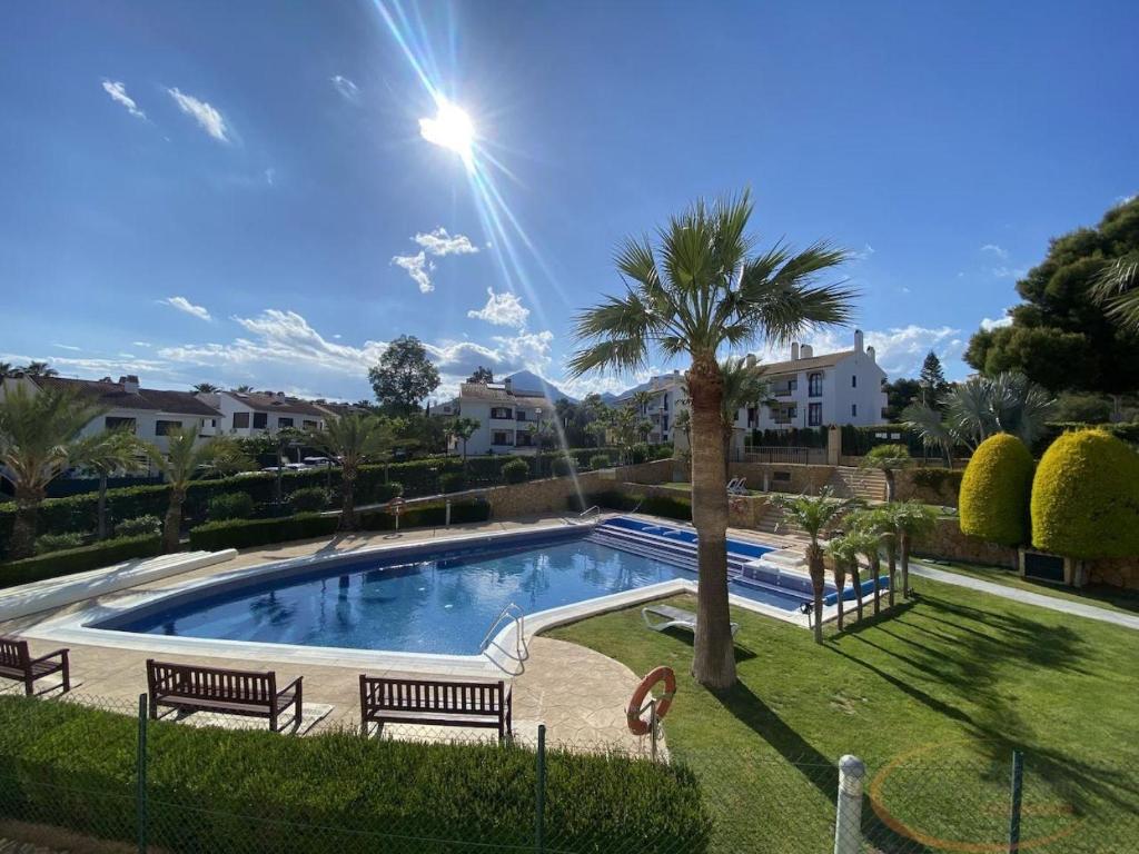 a swimming pool with two benches and a palm tree at Beautiful Apartment Alfaz del Sol in Alfaz del Pi
