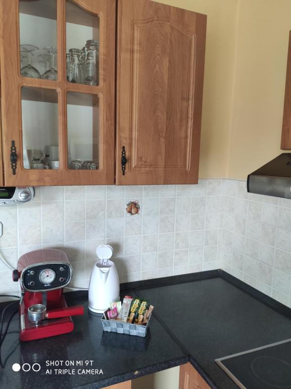 Kuchyňa alebo kuchynka v ubytovaní Relax apartman